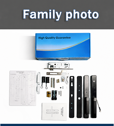 tuya fingerprint smart lock